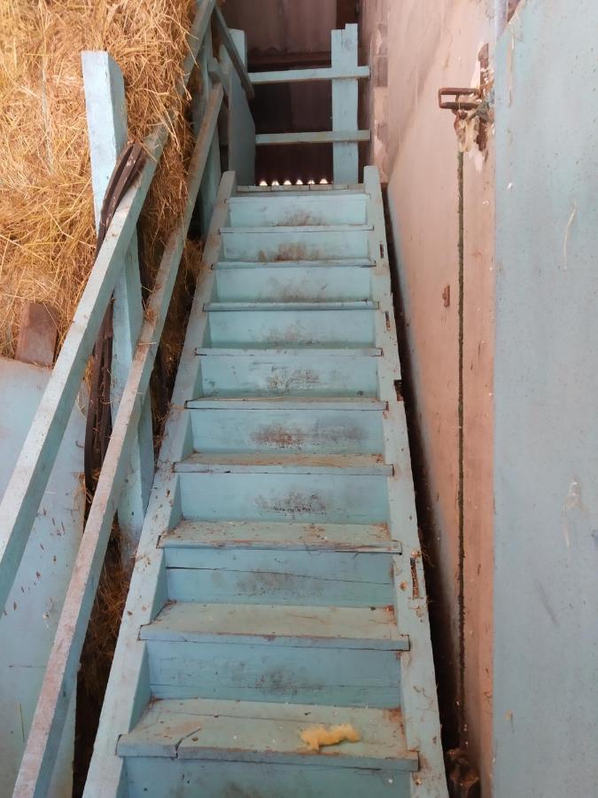 Apartament Ferme Du Sapin Daillancourt Zewnętrze zdjęcie